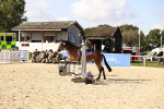 SBM_62012
