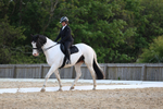 Pendarves Summer Dressage Series 07.05.2025 portfolio