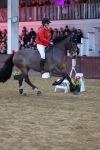 SBM_003649