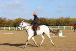 SBM_000339