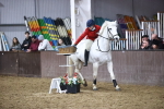 SBM_006008