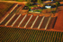 Vineyard Drying Racks from a Hot Air Balloon-3882