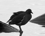 20081128-206