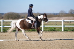 SBM_002060