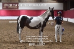 BPP_1597