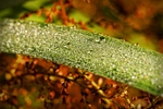 DSC01695