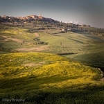 Landscape-072