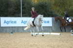 SBM_31196