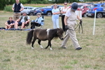 WJ6_5678
