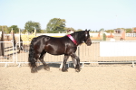 SBM_00184