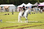 SBM_12746