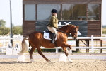 SBM_01655