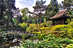 Japanese Garden