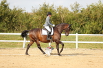 SBM_018434