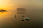 Sunrise at Finnamore Lake, County Offaly, Ireland.