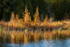 DORCAS BAY ROAD, 2017 - BRUCE COUNTY