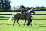 SBM_36826