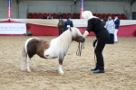 SBM_17342