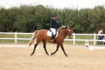 SBM_00455