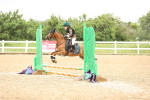SBM_000178