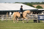 SBM_09641