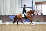 SBM_000508