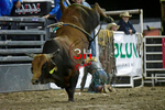 3HRodeo8-5-24_CFD_3HR-YUMA- 6222_