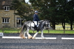 WJ5_9086