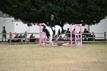 WJ6_1256