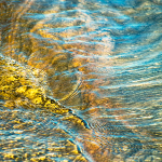 HARRY'S POINT - FRANKLIN ISLAND