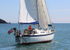 140729 SCOT FREE GBR1443T WT7A1839