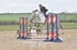BPP_4495