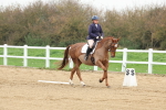SBM_006282