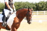 SBM_003405