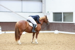 SBM_011562