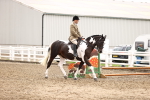 SBM_00534
