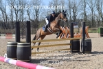 CLASS 2 Senior British Novice/ 90cm Open portfolio
