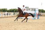 SBM_003739