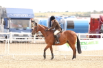 SBM_05164