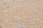 240720A-155518-15393