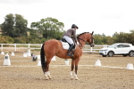 SBM_008624