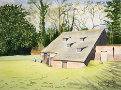 Local scenes portfolio