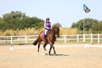 SBM_011987