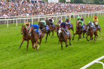 170623-Race 2-Wild Lion-6995