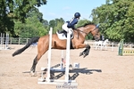 Friday 22nd Mini 60cm, 70cm and Dressage - Click to Enter portfolio