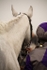 The Winners Enclosure