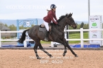 BPP_4620