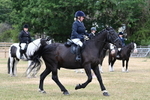 WJ7_1152