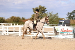 SBM_14352