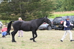 WJ6_6116